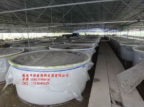 高粱发酵pe塑料圆桶 水果冷藏pe塑料圆桶 500升餐具清洗pe塑料圆桶价格 厂家 图片