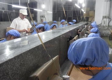 玩具加工 玩具配件 塑胶配件 塑胶产品加工,玩具加工 玩具配件 塑胶配件 塑胶产品加工生产厂家,玩具加工 玩具配件 塑胶配件 塑胶产品加工价格
