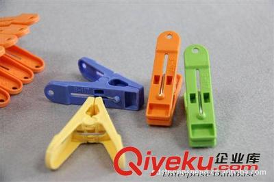供应礼品,赠品,塑料衣架,被夹,12庄强力衣夹S117A图片|供应礼品,赠品,塑料衣架,被夹,12庄强力衣夹S117A产品图片由汕头市国平鸿盛塑料制品厂公司生产提供-